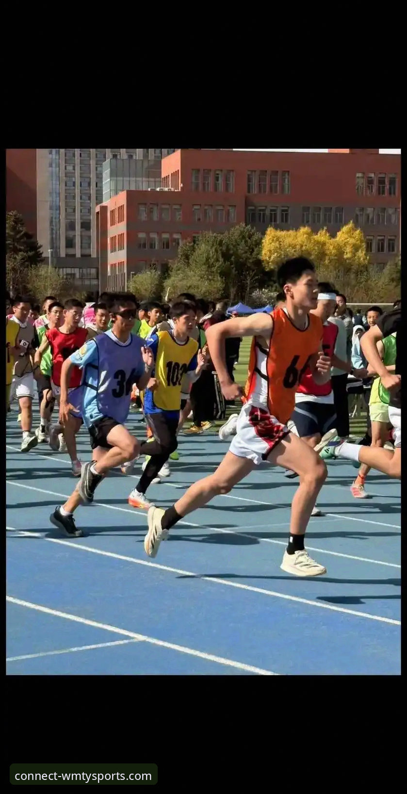 资深用户分享：如何通过完美体育平台真正